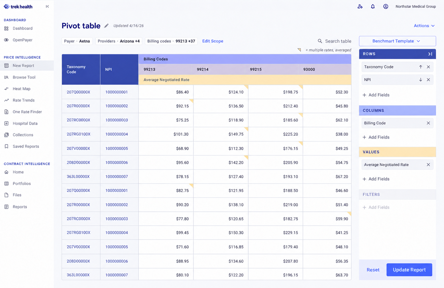 Original Pivot proof-of-concept layout with scope, template selection, and analysis controls.
